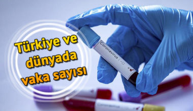 Türkiye’de Günlük Koronavirüs Tablosu – 16 Mayıs 2020 Türkiye’de Günlük Koronavirüs Tablosu – 16 Mayıs 2020