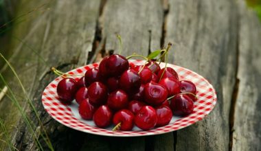 Hamilelikte Kiraz Yiyince Bir Şey Olur Mu? Hamilelikte Kiraz Yiyince Bir Şey Olur Mu?