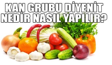 Kan Grubuna Göre Diyet Kan Grubuna Göre Diyet