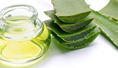Aloe Vera Faydaları Nelerdir? Aloe Vera Faydaları Nelerdir?